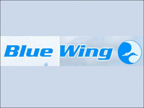 Blue Wings Airlines Logos