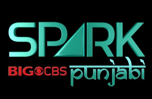 Spark Punjabi Logo
