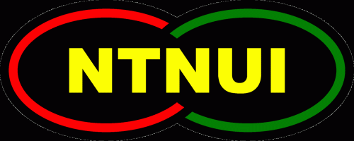 NTNUI Logo