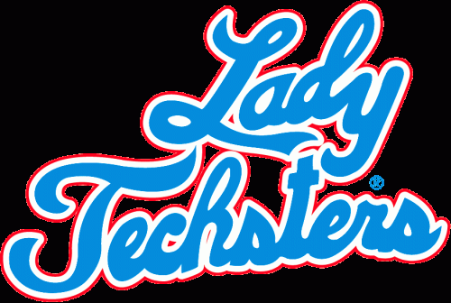 Lady Techsters Logo