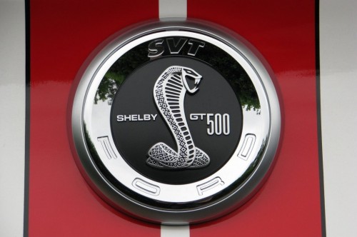 Ford shelby