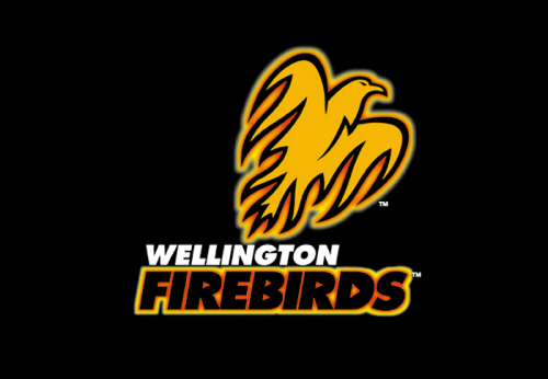 Wellington Cricket Team