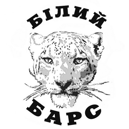 Bilyi Bars Logo