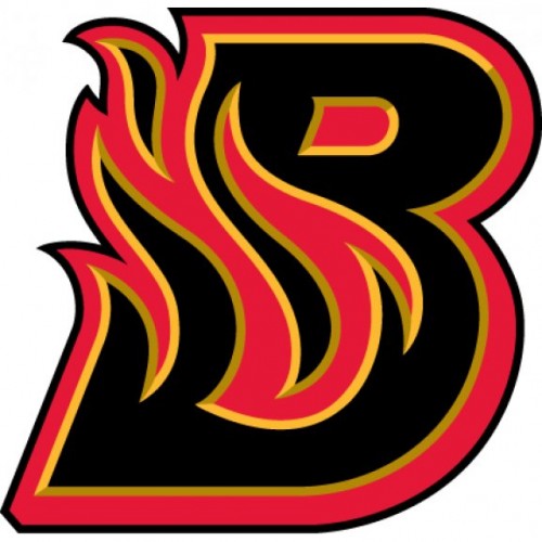 Bloomington Blaze Logo