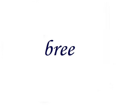 Bree Richey Logo