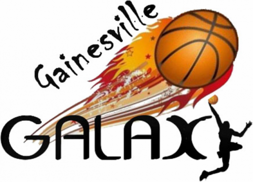 Gainesville Galaxy Logo