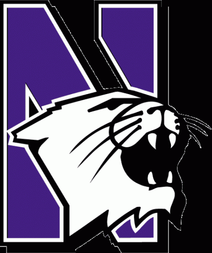 Northwestern Wildcats Women's Lacrosse Logo