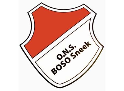 ONS Sneek Logo