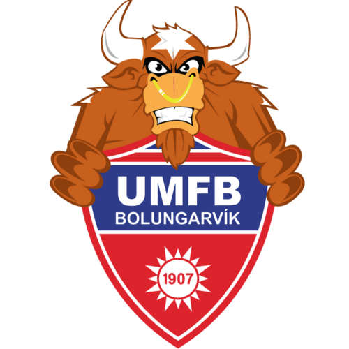 UMFB Basketball Logo