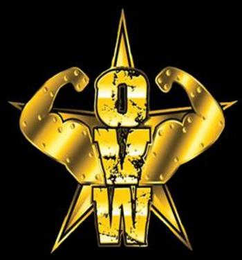Ohio Valley Wrestling (OVW) Logo
