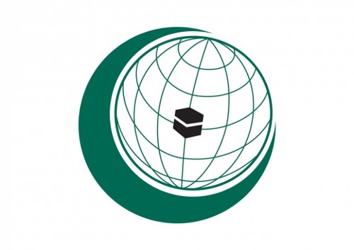 Organisation Of Islamic Cooperation Logo