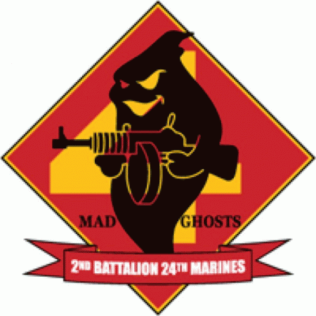 2nd Battalion 24th Marine Regiment Usmcr Logo