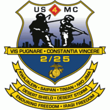 2nd Battalion 25th Marine Regiment Usmcr Logo