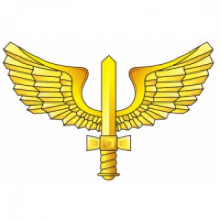 Forca Aerea Logo