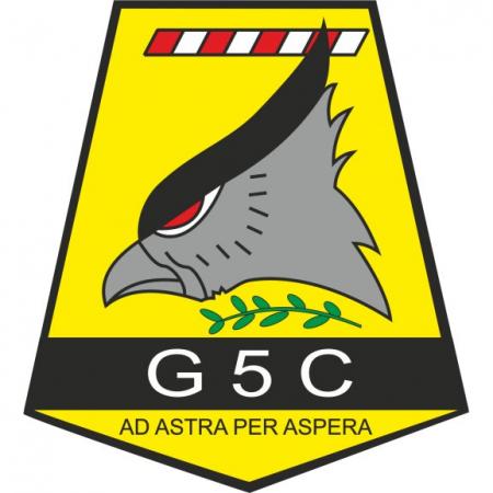 Grupo 5 De Caza Logo