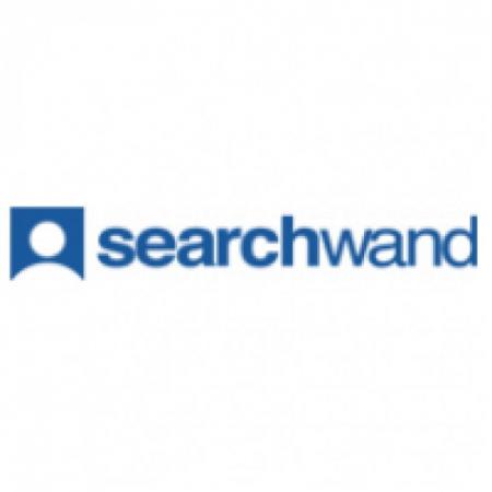 Idscan Searchwand Logo