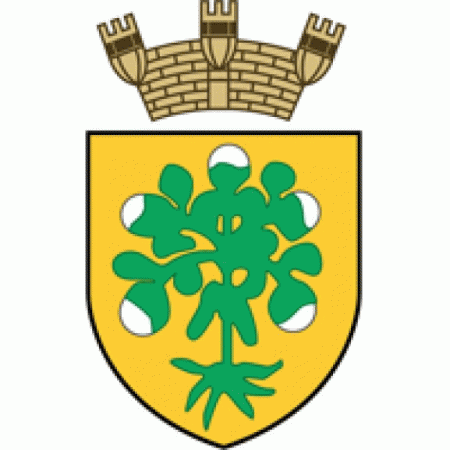 Bormla Local Council Logo