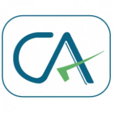 Charted Accountant Logo