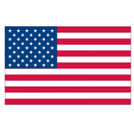 Flag Of The United States Vector Logo