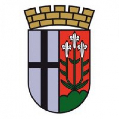 Fulda Wappen Logo