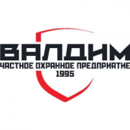 Valdim Logo