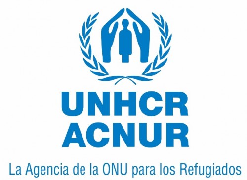 Acnur Logo