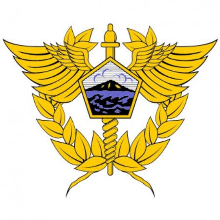 Direktorat Jenderal Bea Dan Cukai Logo