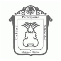 Escudo Del Municipio De Metepec Logo