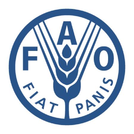 Fao Logo