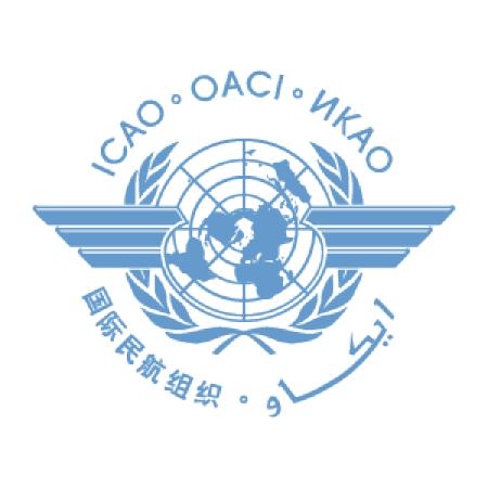 Icao Logo Vector