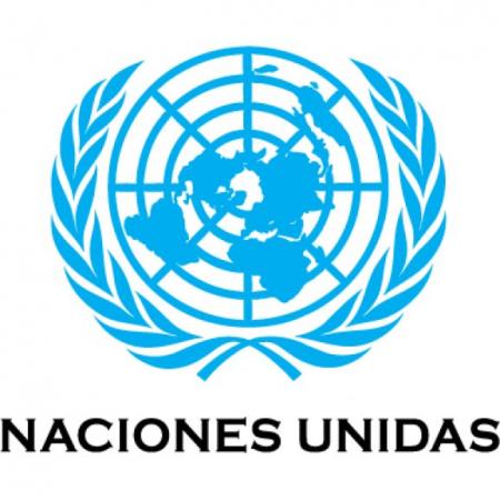 Naciones Unidas Logo