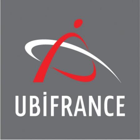 Ubi France Logo