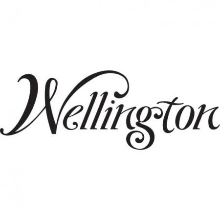 Wellington Nz Logo