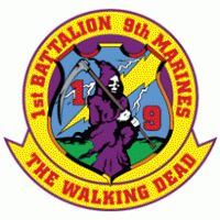 1st Battalion 9th Marine Regiment Usmc Logo