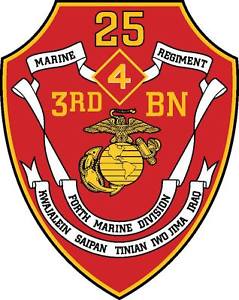 3rd Battalion 25th Marine Regiment Usmcr Logo
