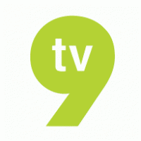 9tv Logo