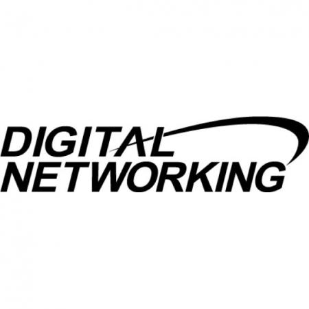 Digital Networking Logo