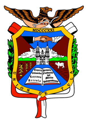 Escudo Union De Tula Logo