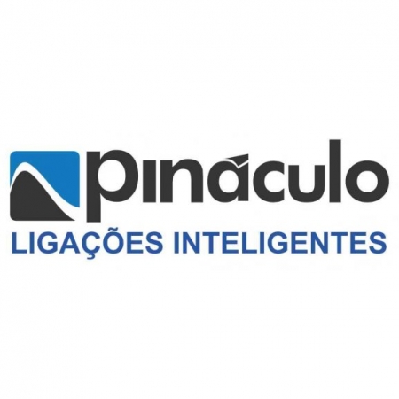 Pinculo Logo