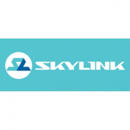 Skylink Logo
