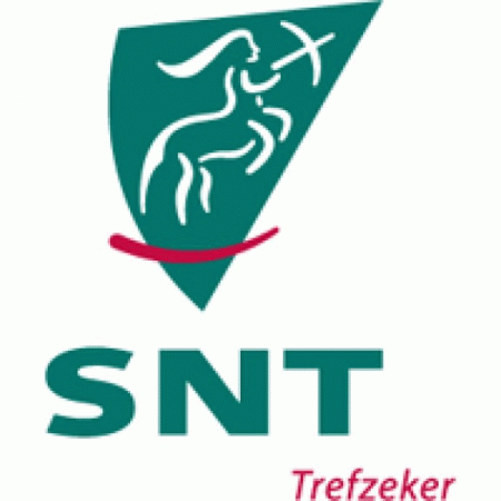 Snt Nederland Bv Logo