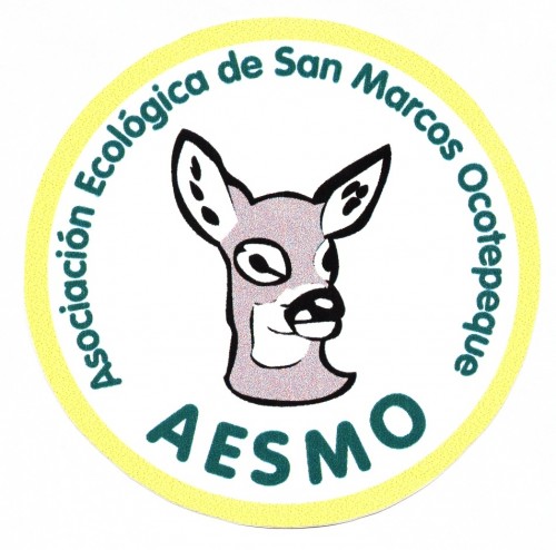Aesmo Logo