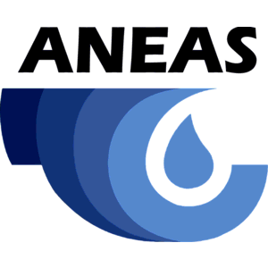 Aneas Logo