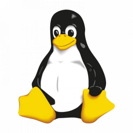 Linux Tux Vector Logo
