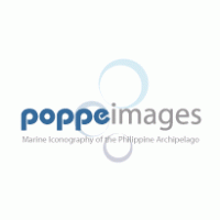 Poppeimages Logo