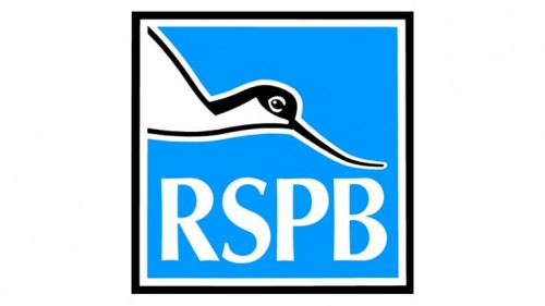 Rspb Logo