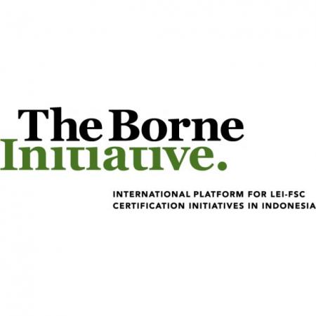 The Borne Initiative Logo