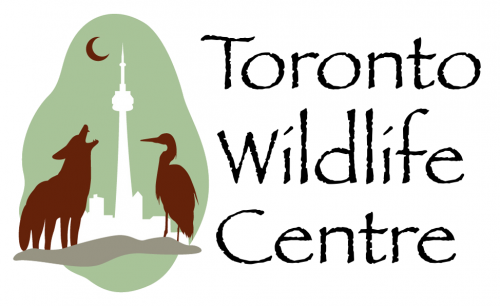 Toronto Wildlife Centre Logo