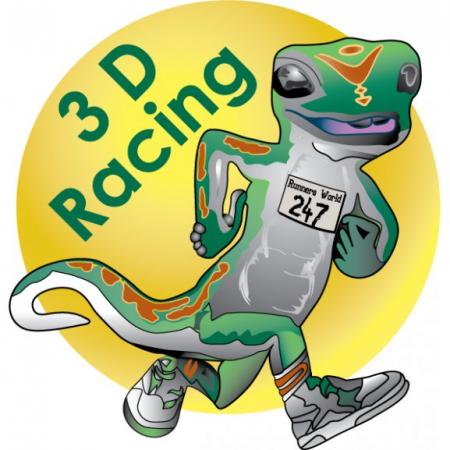 3d Racing Logo