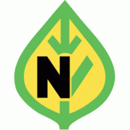 N Logo